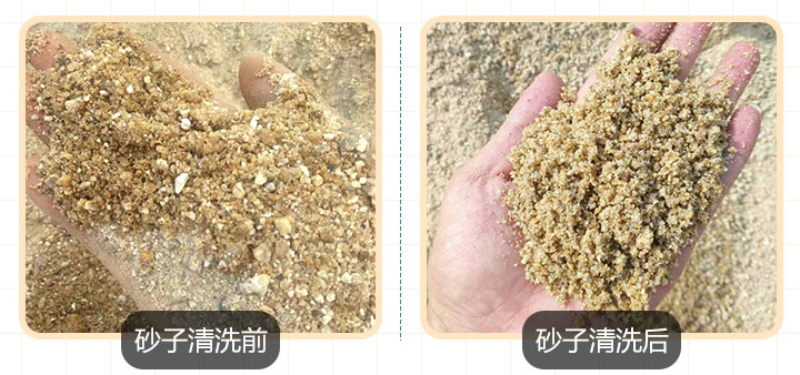 山沙清洗前后對比 山沙清洗前后對比
